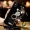 Millet 6X vỏ điện thoại di động mẫu nữ bao gồm tất cả bảo vệ chống vỡ bao gồm mi mét sáu dĩa x6 dày silicon mềm vỏ ml bao gồm tất cả dây buộc có thể treo cổ + dây đeo cổ tay + vòng khóa khung một - Nhẫn