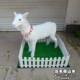仿毛版 母山羊