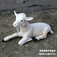 Кожаная версия лежит на земле и растянута коз