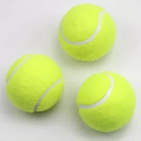 Phục vụ trò chơi cơ sở và trung cấp thú cưng đặc biệt đồ chơi cao hồi phục quần vợt đào tạo thiết bị bóng trẻ em 3 - Quần vợt vợt tennis 275g