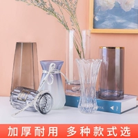 Кристаллическая стеклянная ваза замедляет прозрачную гидропонную, богатую бамбуковую европейскую европейскую гостиную
