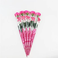 Розовая красная гвоздика цветок