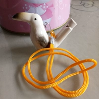 Большая большая птица рта с веревкой