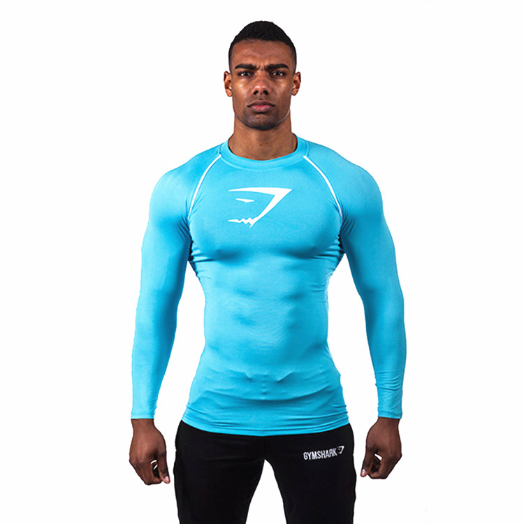 Bluegymshark Europe and America Chaopai Muscle brothers male run motion Bodybuilding Tight fitting Quick drying Long sleeve elastic force Fitness clothes