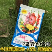 Kệ mới trên khuyến mãi lớn tuổi Bắc Kinh Violet trầm hương bột 50 gam túi bột lỏng mật ong bột 2 túi 9.9