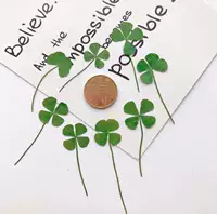 Светло-зеленый