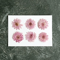 Каштановый