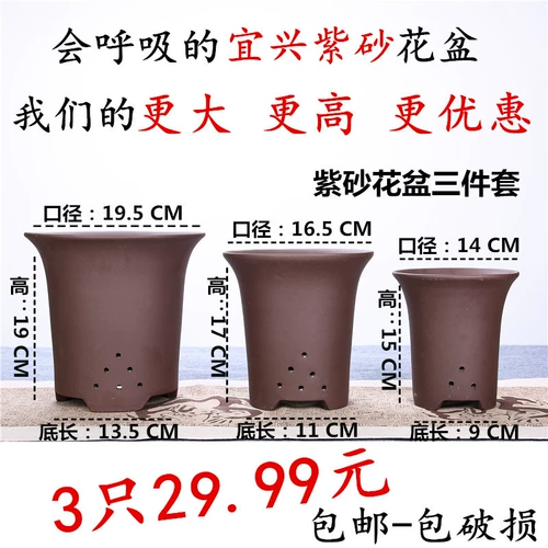 Zisha Orchid Basin Boutique Yixing Ceramics Turbine Clivia Diaolia Room Plant Специальное предложение бесплатная доставка