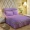 Phương pháp dày giường nhiệt váy Levin cashmere và bông len đơn tinh thể mảnh bông giường flannel đặt Li Coral giường 1.8m - Váy Petti