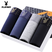 Playboy đồ lót nam boxer thanh niên thủy triều cotton đồ lót nam 100% cotton cotton gợi cảm quần bốn chân