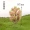 Mô phỏng phong cảnh vi mô mới Cây anh đào Đa dạng tùy chọn trang trí hoa nhựa sáng tạo Cảnh đạo cụ chụp - Hoa nhân tạo / Cây / Trái cây