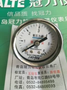 Thanh Đảo Guanli Công cụ đặc biệt và Máy đo áp suất Máy đo áp suất oxy hướng trục YO40Z 6MPA bảng phân tích chất lượng than