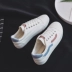 三 Giày vải nữ thủy triều phiên bản Hàn Quốc ulzzang Sinh viên Harajuku in giày giầy hoang dại phong cách Hồng Kông giầy fila nữ Plimsolls