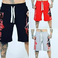 2019 cơ anh mới tập thể dục quần short nam năm quần thể thao quần mỏng phần co giãn cotton squat kích thước lớn - Quần thể thao quần the thao nam ống rộng