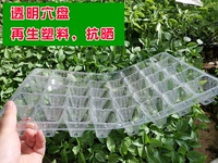 5 прозрачных пластин (40 точек на пластину/анти -заседание)