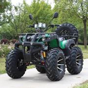 ATV kích thước bulls tốc độ vô cấp ATV bốn bánh off-road xe máy đôi dành cho người lớn xăng off-road