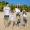 Mẹ và người phụ nữ đi nghỉ mát bên bờ biển đặt chín điểm quần chùm một gia đình ba quần đi biển quần cha-con - Trang phục dành cho cha mẹ và con