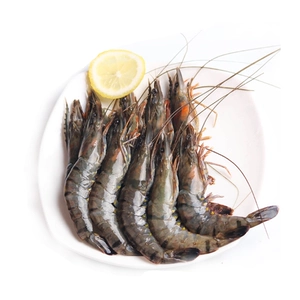[寰球渔市 生冻黑虎虾 400g]