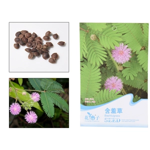 Семена Flower Fairy, 5 шт., комбинированный пакет, тип A