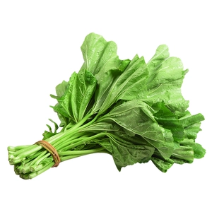 Зима Амарант 300G