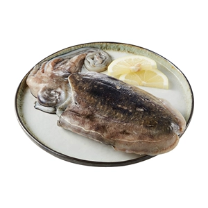 [冰台东海冷水大墨鱼 500-600g/条]