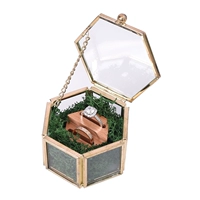 Стеклянная коробка (содержит мох и сиденье на дереве)