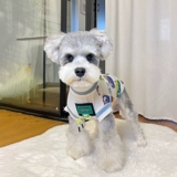 Tide, летний тонкий жилет, красивая спина, популярно в интернете