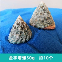 Пирамида, 50G, 10 шт