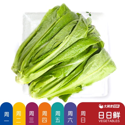 [日日鲜 油麦菜300g/份]