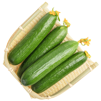 [水果黄瓜400g（3-4根）]
