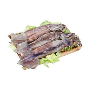 [新鲜冷冻鱿鱼200-300g/条]