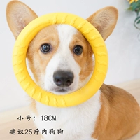 Маленькие кольцевые кольцевые гудки и маленькие собаки