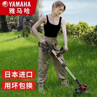 Yamaha, электрические сельскохозяйственные универсальные литиевые батарейки, режим зарядки