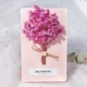 Корейская розовая хрустальная трава [вентиляционная карточка]