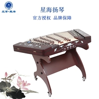 Пекин Синхай Янцин 402 Хардвуд 8621 Африканский розовыйвуд 8622M 8622L Профессиональная производительность янцина инструмент
