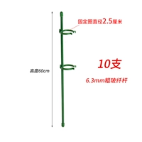 Высотой 60 см [10 ветвей] дают 20 фиксированных пряжек