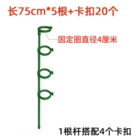 75 см в высоту [5 ветвей] Дайте 20 фиксированную пряжку 20