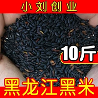 小刘创业 В этом сезоне новый рис на северо -востоке черного риса 10 фунтов зерна сельского зерна рис Рис Шар Черный рис. Грубые зерна не были 5 фунтов