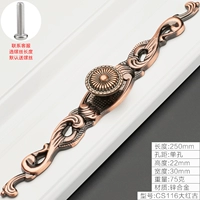 CS116 Dahongku