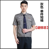 Серый однократный короткий рукав [отправка аксессуаров]