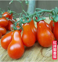 Красный цвет