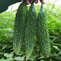 Темный хаки