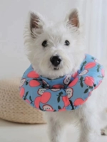 Маленькое яблоко