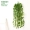 Cây mô phỏng cây củ cải xanh treo giỏ hoa mây lá nho cây thường xuân lá nhựa trang trí ban công cây xanh - Hoa nhân tạo / Cây / Trái cây cây hoa đào giả