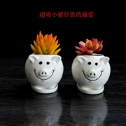 Trắng sáng tạo phim hoạt hình nhỏ động vật gốm thịt hoa nồi dễ thương lợn mọng nước hoa chậu hoa - Vase / Bồn hoa & Kệ