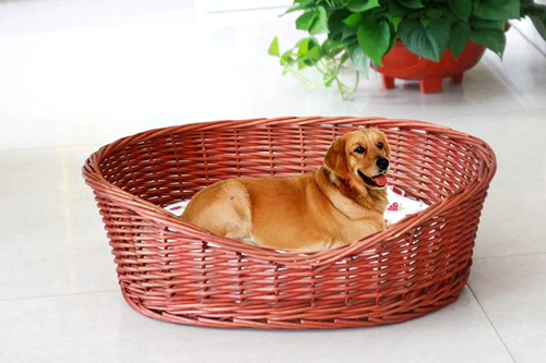 Виноградный клюв, легкая  тля, лезвие Pet Tymei 芄蟊 龉 龉 鹣 鹣 鹣 鹣 鹣 鹣