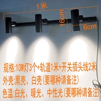 Штекер с рельсами, 10W, 3 шт, 1м