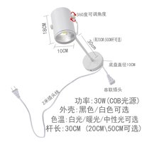 Штекер, 30W, 30см, фиксаторы в комплекте