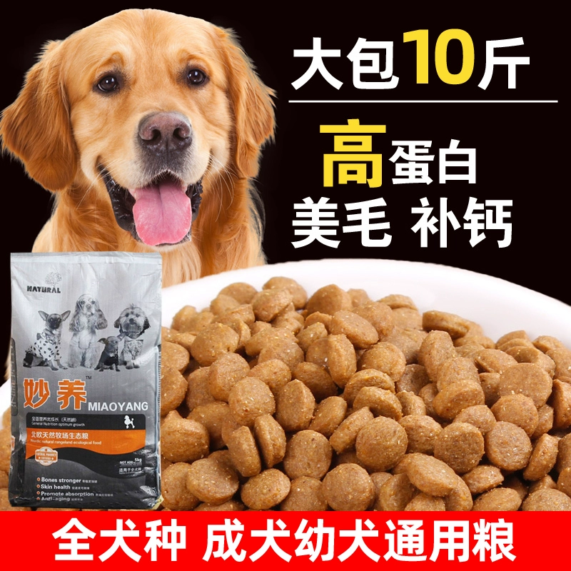 Thức ăn cho chó Phổ thông Chó con Chó trưởng thành Chó Golden Retriever Teddy Labrador Husky Lớn Trung bình Nhỏ Chó nhỏ Giống 5kg10 kg - Chó Staples