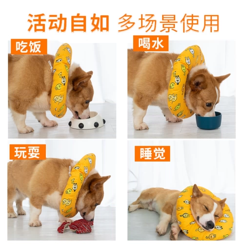 Собака Элизабет Круг Программное программное обеспечение Круг Круг Облизывание антибединых мягких царапин ПЭТ -продукты Корги мягкая ткань Круг шеи